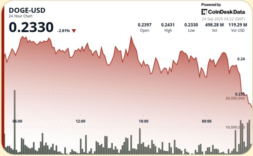 DOGE 在波动中守住 0.24 美元支撑位