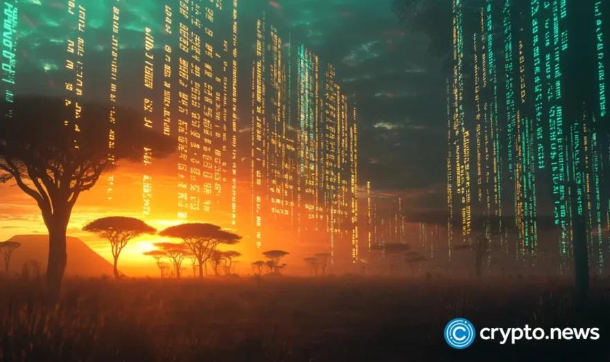 非洲不应成为加密货币的试验场：非洲大陆正在书写自己的加密货币未来 