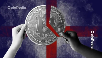 美国法院裁定 Bored Ape Yacht Club NFT 和 ApeCoin 不构成证券