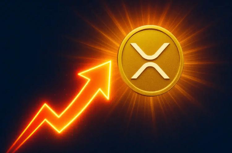 XRP恐慌指数飙升至6个月高点，或许预示着下一次重大突破？