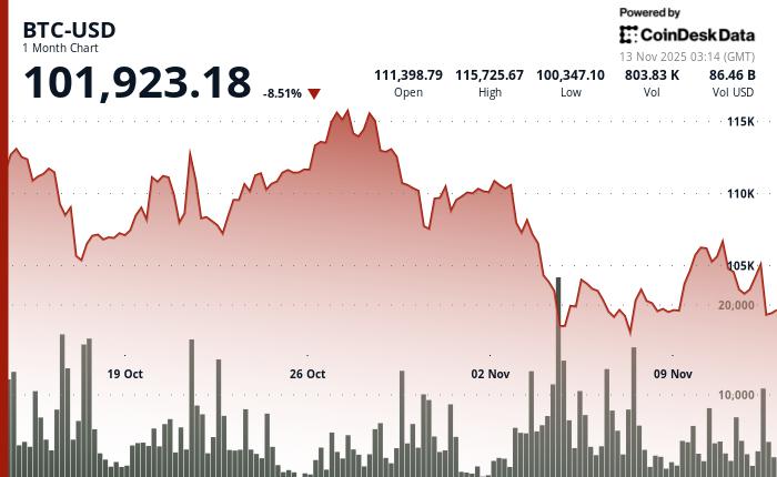 Bitcoin Price Drops by 0.9%, Trading Volume Plummet, Key Support Level Resists