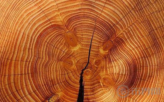 市场趋势分析：2025年11月比特币抛售、贵金属热潮和股市动向